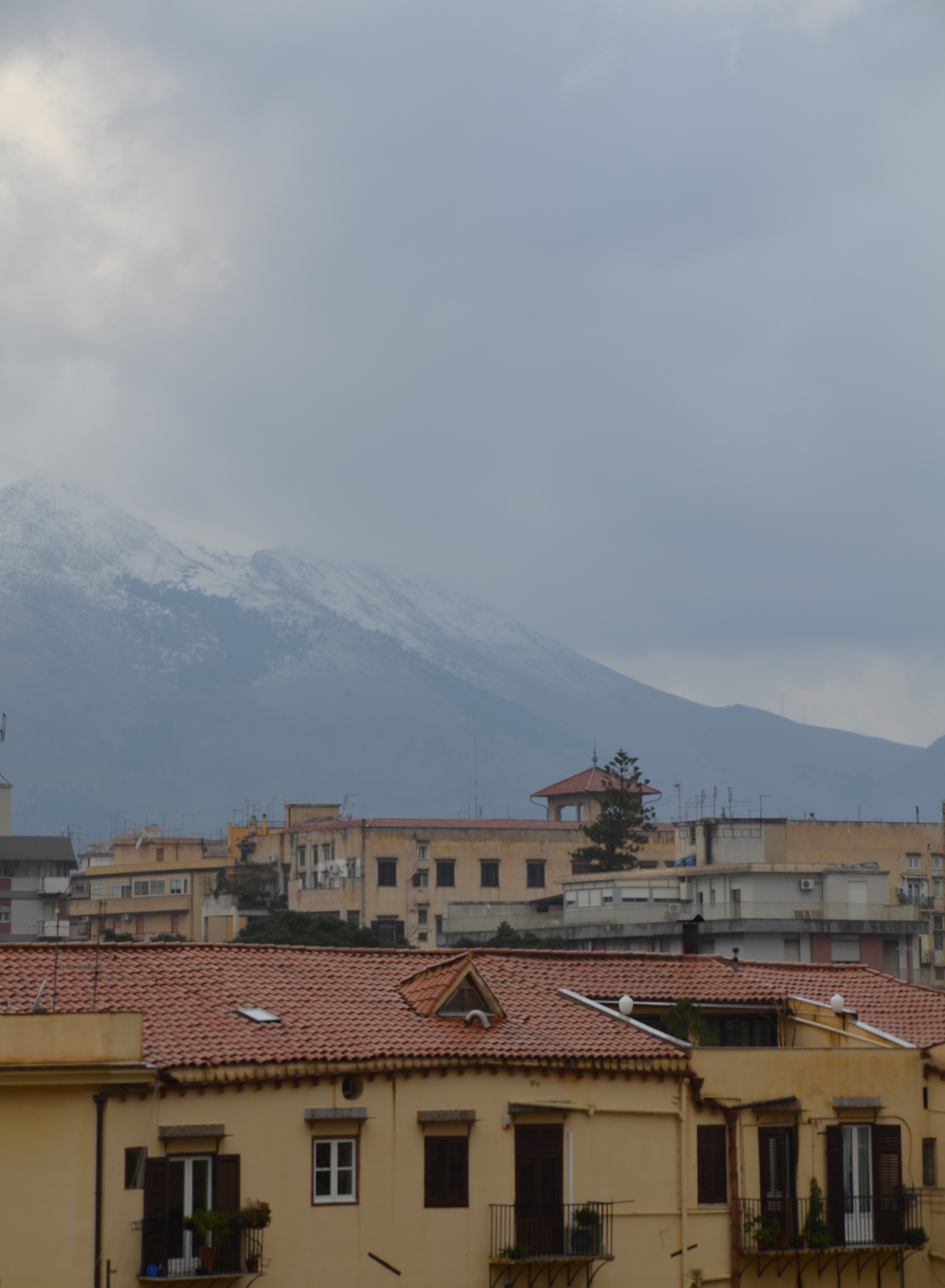 Aspettando che il bianco scenda su di noi, che viva in noi, non rimane che deliziarsi guardando fuori dalla finestra.